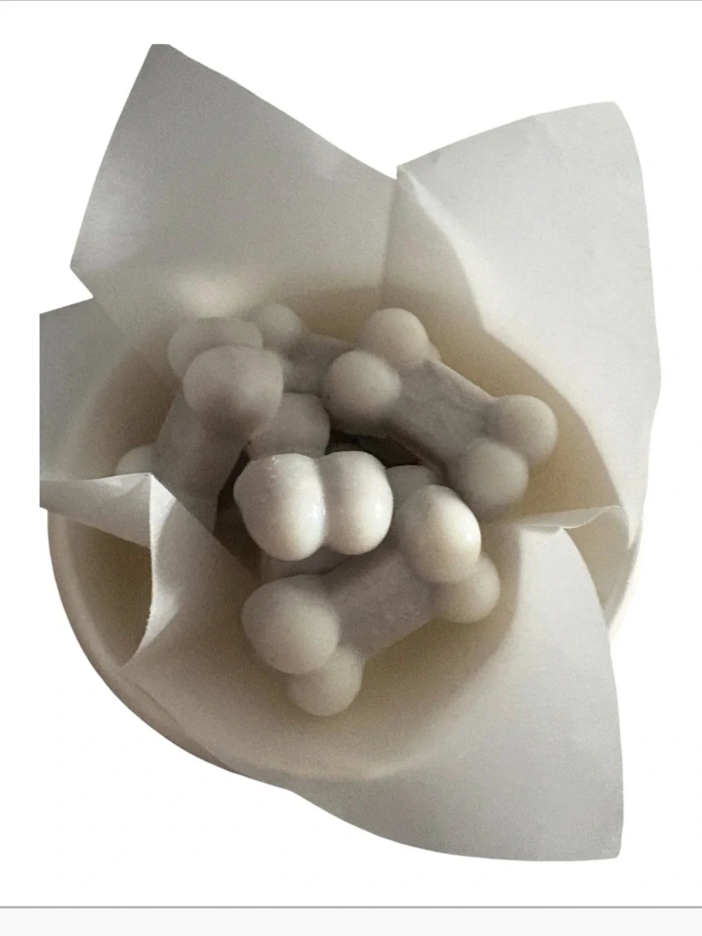 Cinnamon leaf dog bones 2.5 oz wax melts